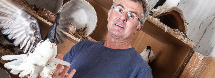 Gerhard Methlagl mit einer weissen Taube