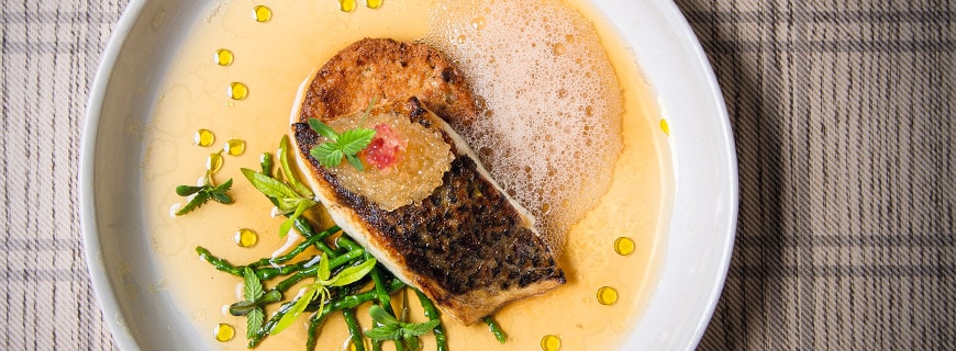 Barramundi, Hanf und Bier
