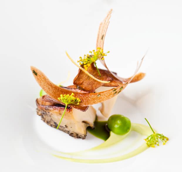 gegrillte abalone