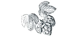 Reinheitsgebot