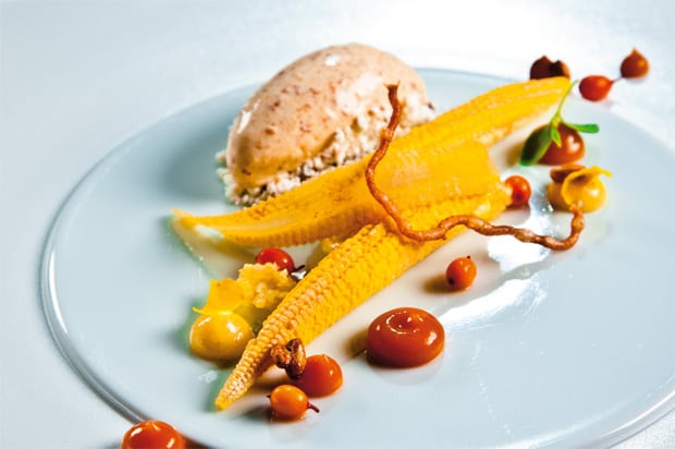 "Sanddorn, Getreide, Mais"