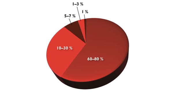 eine Grafik der häufigsten Nahrungsmittelunverträglichkeiten