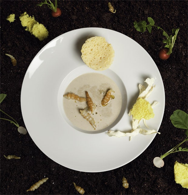 Erdensuppe