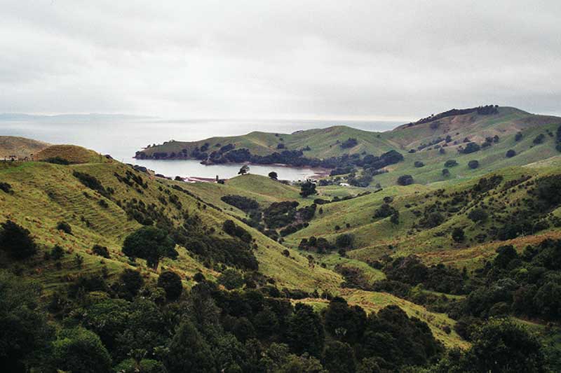 Arbeiten in Neuseeland wunderschöne saftig grüne küste in neuseeland
