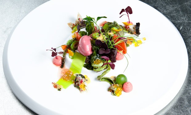 gelbflossenthunfisch