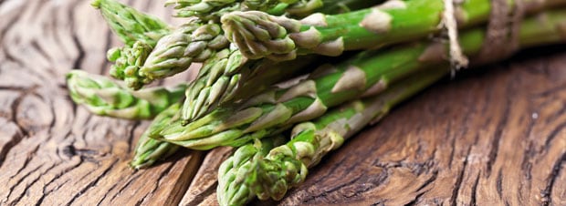 Spargel 