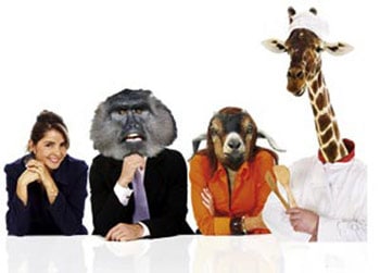 Kollegen unter sich mit Giraffen, Affen und Wildmasken auf dem Kopf 