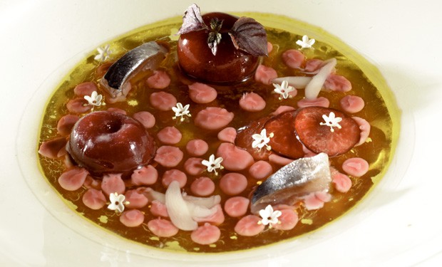 holunder und kirsch suppe