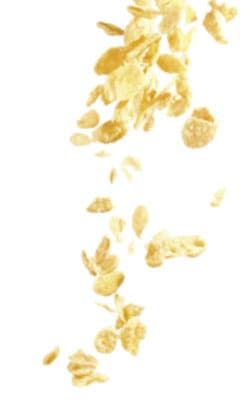 Cerealien 