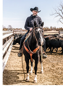 ein Westernreiter