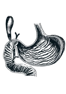 Magenillustration
