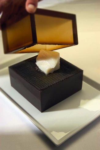 Polymer Fish Box“