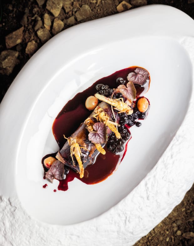 Holunder, Knoblauch, Heuschrecke