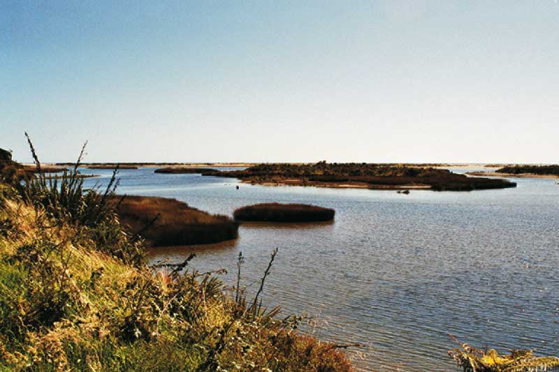Arbeitsvisum Neuseeland Meer strahlend blauer himmel wasser steine insel
