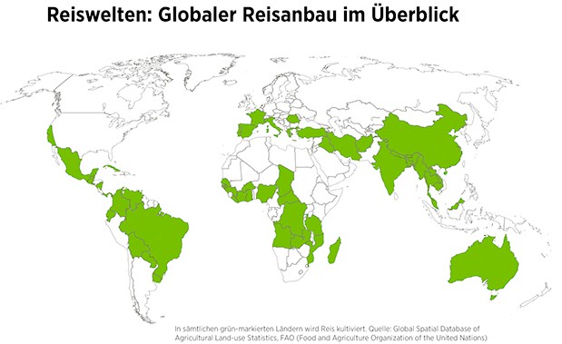 globaler Reisanbau