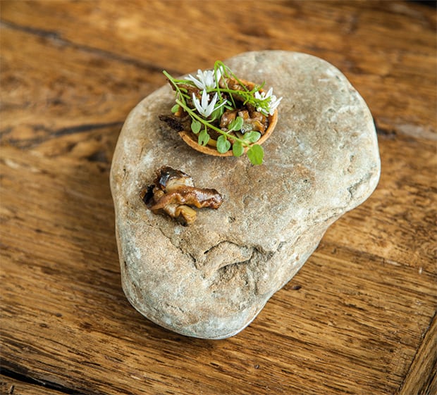 Schnecke aus Comines mit Knoblauch