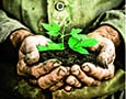 Zwischen Himmel und Erde