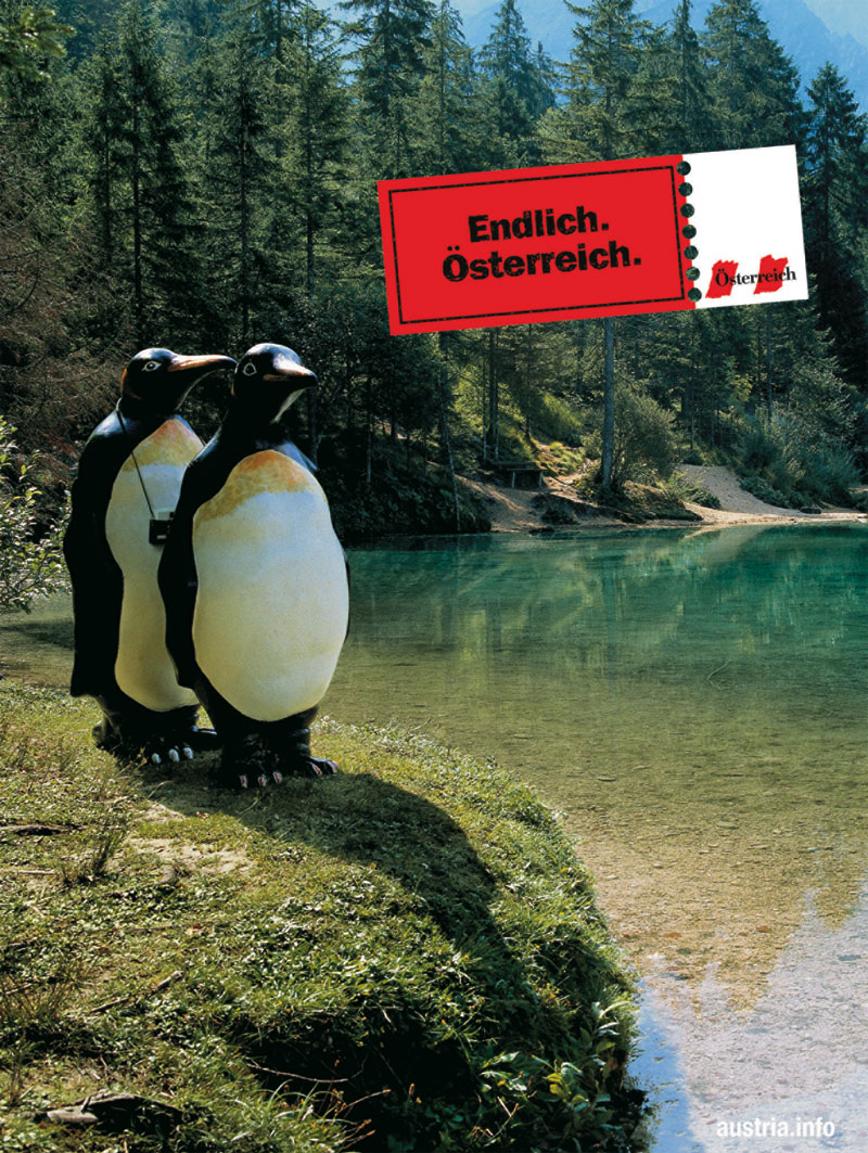 Kampagne Die kampagne zeigt zwei pinguine vor einem glasklarem see auf einem felsen stehend