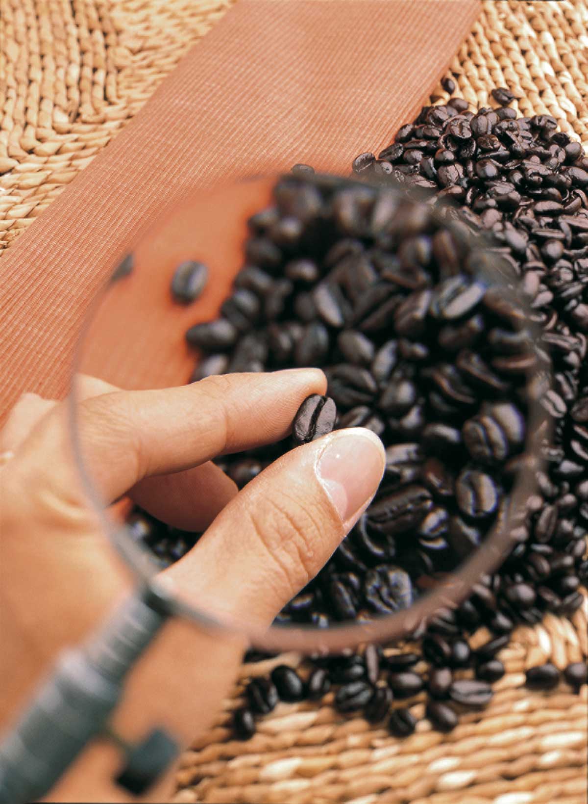 röstfrische kaffeebohnen mal unter die lupe genommen 
