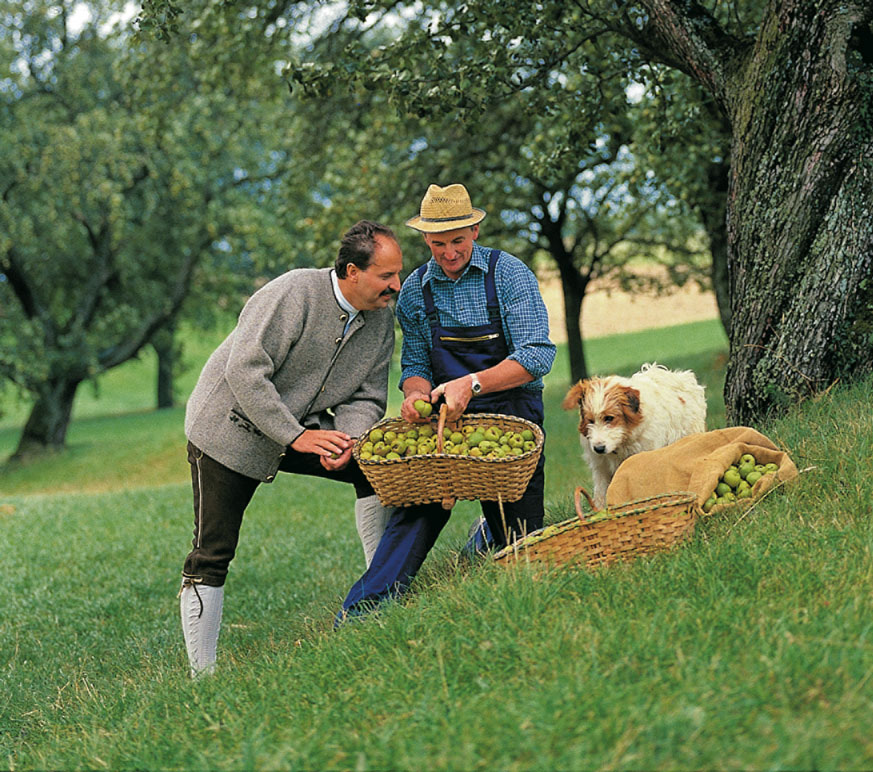 johann lafer beim äpfelpflücken mit einem jungen Herrn und einem Hund 