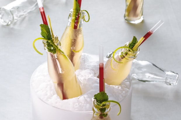 ginger gras beer