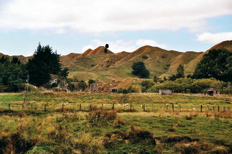 neuseeländische Farm neuseeländische hügellandschaft getaucht in braune und grüne naturtöne