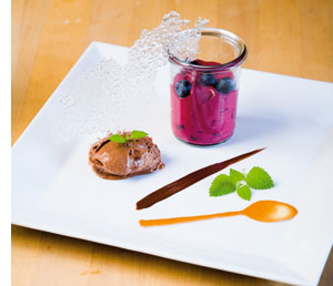Mousse von Valrhona-Schokolade und Illy-Espresso mit Espuma von Jostabeeren