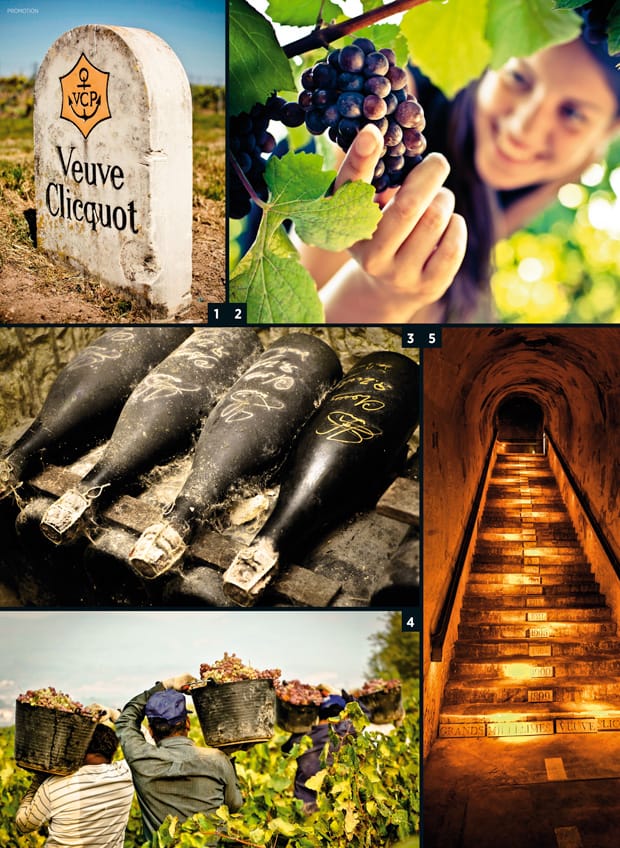 Weingärten von Veuve Clicquot Ponsardin Weingärten von Veuve Clicquot Ponsardin