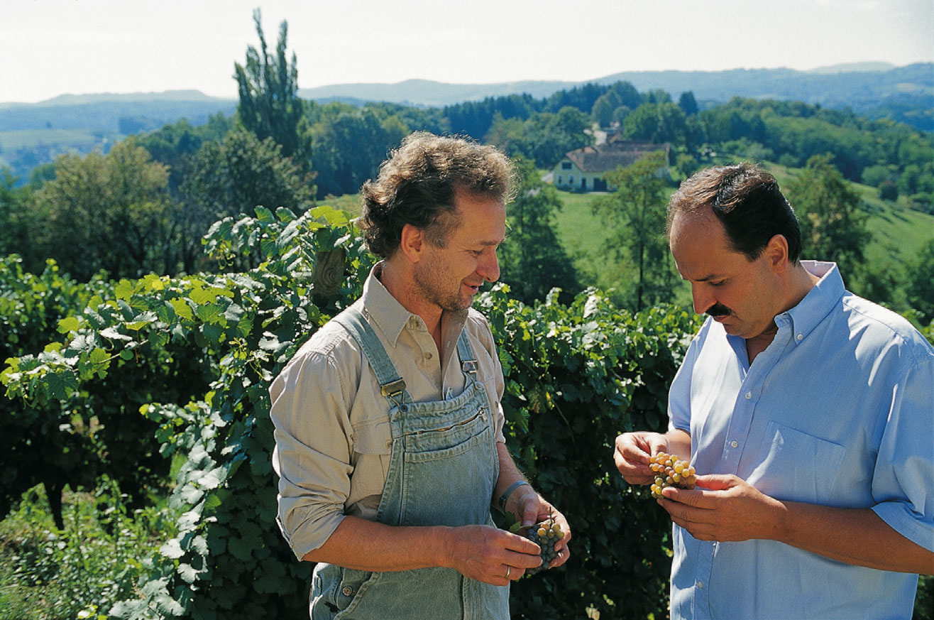 johann lafer mit einem Herrn in Weinbergen bei der Traubenernte 
