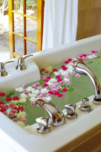 Ein Blumenbad mit roten, weißen und rosanen Blüten 