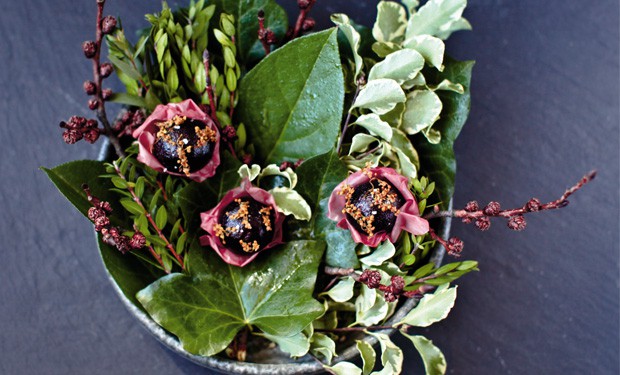 schwarze johannisbeere und rosen