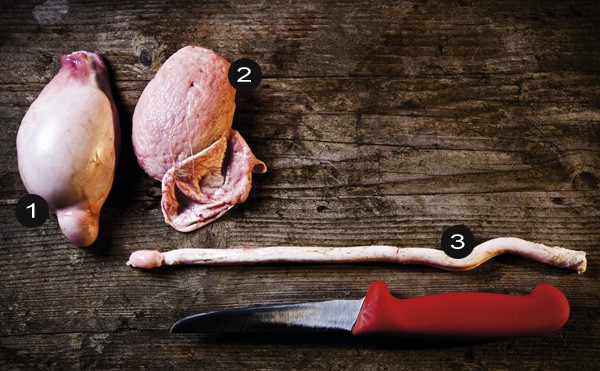 An den Eiern gepackt An den Eiern gepackt- Hoden und Penis