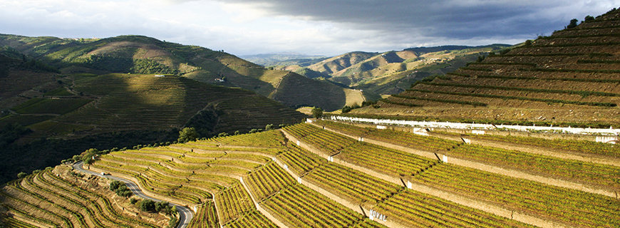 Portwein - Comeback Portwein - die Landschaft Portugals