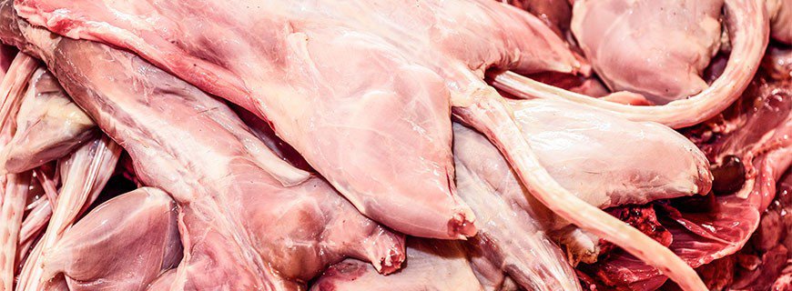 Ratte oder Huhn?