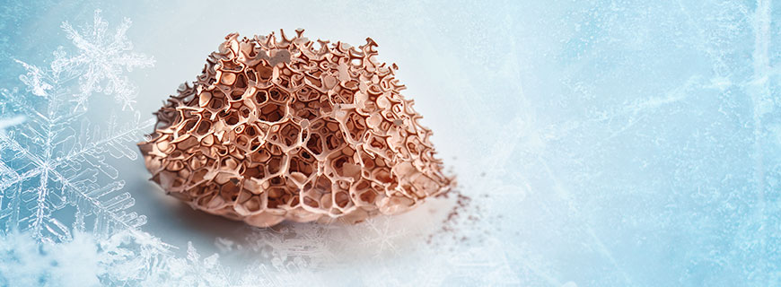 Rezept von Andoni Luis Aduriz Trockener Bienenstock aus Kakao