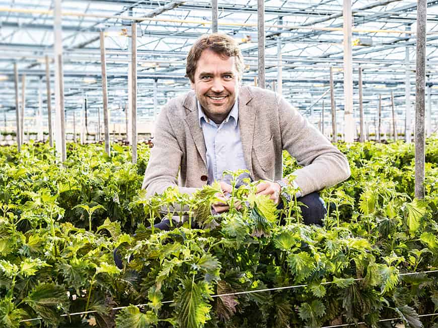Country Manager D/A/CH von Koppert Cress Marc Bonsmann