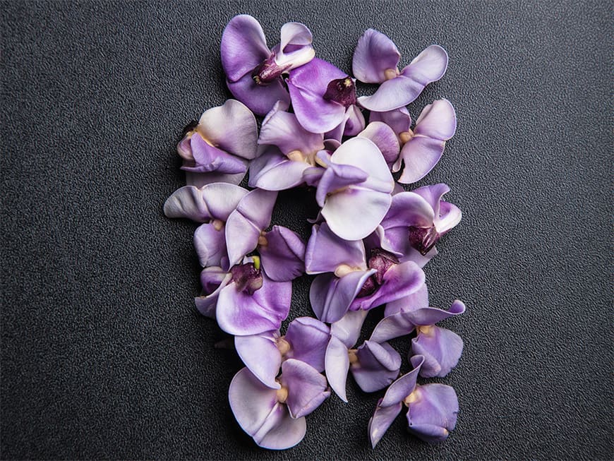 Wie schmeckt eigentlich...Bean Blossom? Wie schmeckt eigentlich...Bean Blossom?
