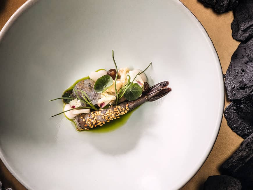 Blaue Garnele aus Bayern mit Blumenkohl, grüner Mango, Sternanis, Indianernessel und Yuzu