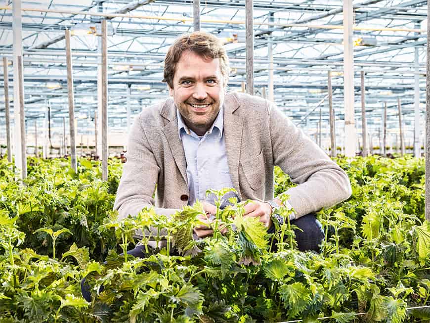 Koppert Cress, Marc Bonsmann