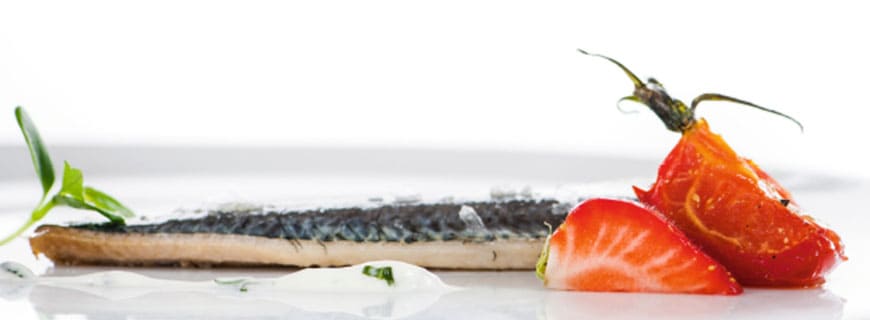 sardine-header