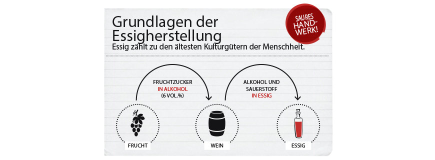 Grundlagen der Essigherstellung Grundlagen der Essigherstellung