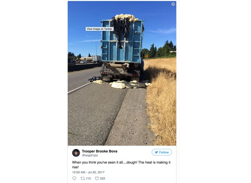 Truck Teig Tacoma