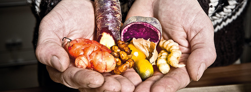 Veggie-World