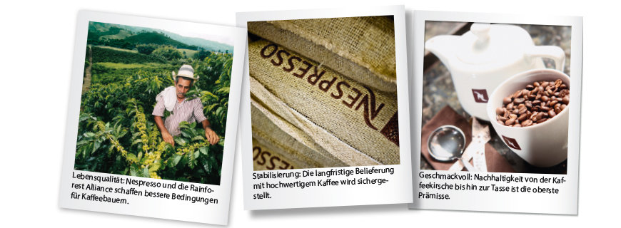 Nespresso Von der Bohne bis in die Tasse