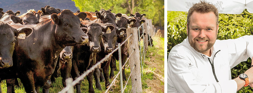  Wagyu-Rinder der Jack’s Creek Farm