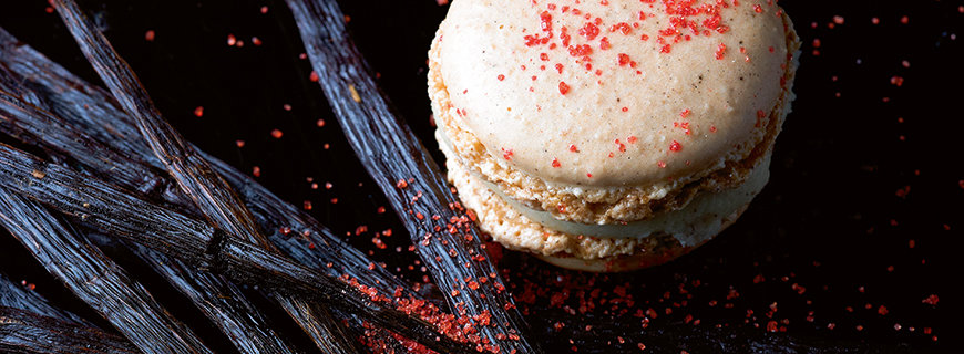  Pierre Hermés Macarons 