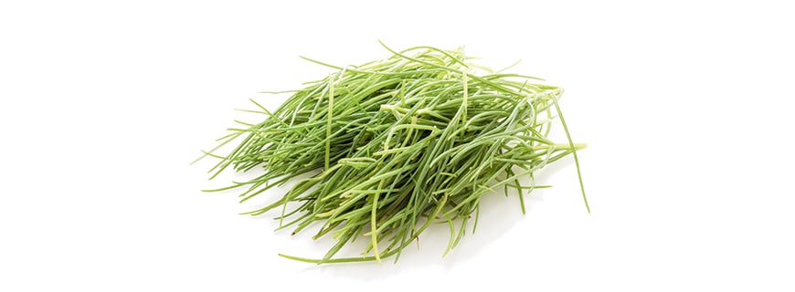 Agretti
