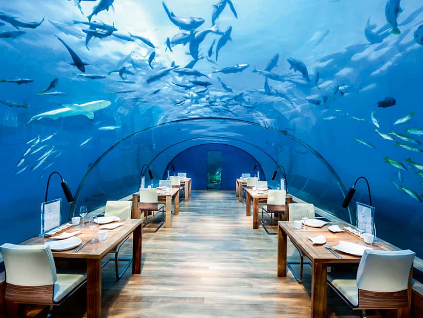 Das erste Unterwasser-Glas-Restaurant: unter dem Meer speisen im Ithaa