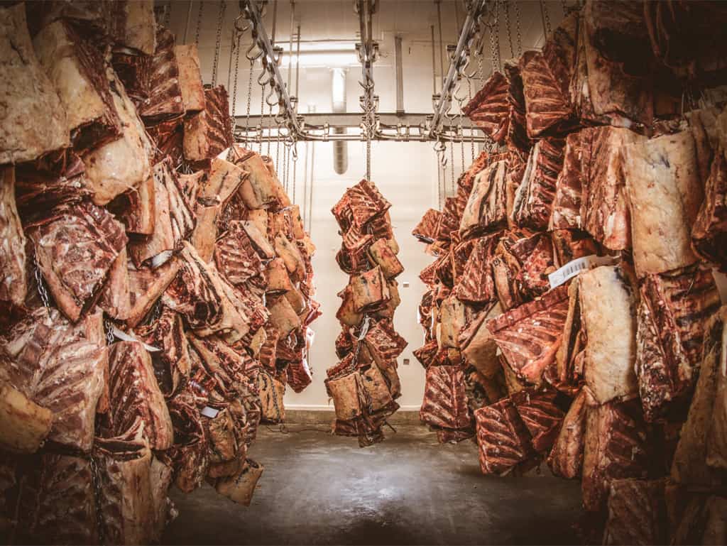 „Fleisch aus der Gras- und auch der Getreide-Fütterung eignet sich zum Dry-aging oder anderen Veredelungen.“ – Ludwig Maurer über die Veredelung von Fleisch. „Fleisch aus der Gras- und auch der Getreide-Fütterung eignet sich zum Dry-aging oder anderen Veredelungen.“ – Ludwig Maurer über die Veredelung von Fleisch.