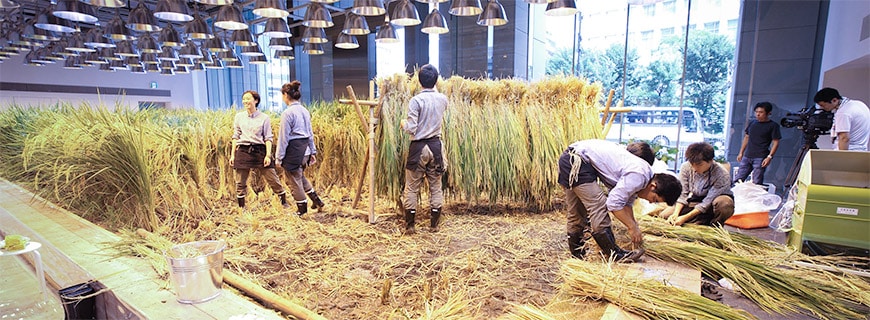 Arbeitsplatz- und Nahrungssicherung: Das Projekt Pasona Urban Farming soll nicht nur gesunde Lebensmittel hervorbringen, sondern auch Arbeitsplätze für die Menschen der Umgebung Tokios. Es ist das Aushängeschild für urbanen Gemüsebau in der asiatischen Metropole. Arbeitsplatz- und Nahrungssicherung: Das Projekt Pasona Urban Farming soll nicht nur gesunde Lebensmittel hervorbringen, sondern auch Arbeitsplätze für die Menschen der Umgebung Tokios. Es ist das Aushängeschild für urbanen Gemüsebau in der asiatischen Metropole.